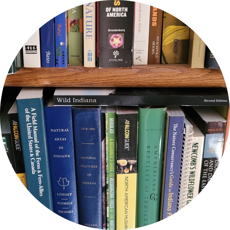 image of books on bookshelves