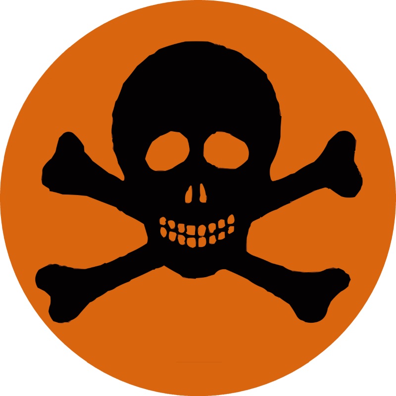 a black skull and crossbones on an orange background